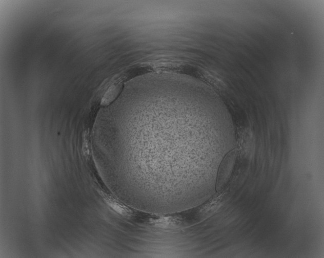 X0000062790430200512290227