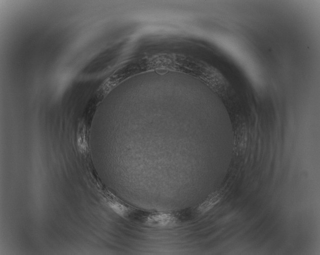 X0000062790431200512290227