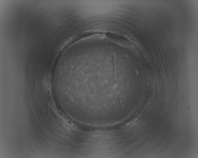 X0000062790434200512290226