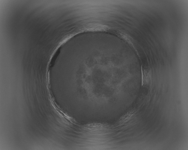 X0000062790435200512290226