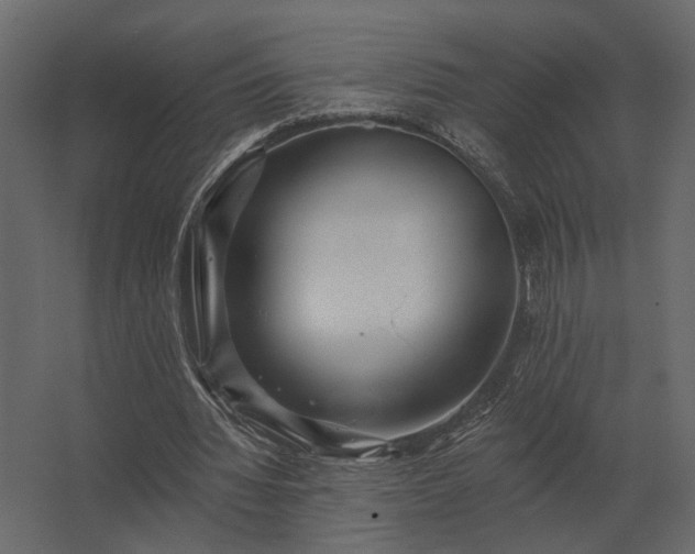 X0000062790436200512290226