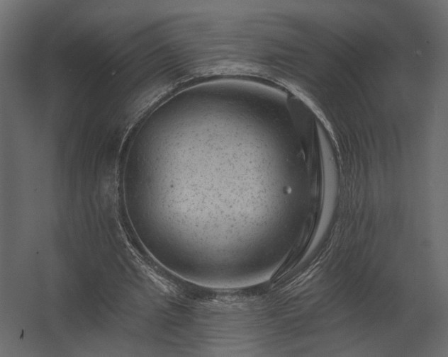 X0000062790437200512290227