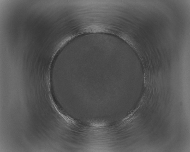 X0000062790438200512290227