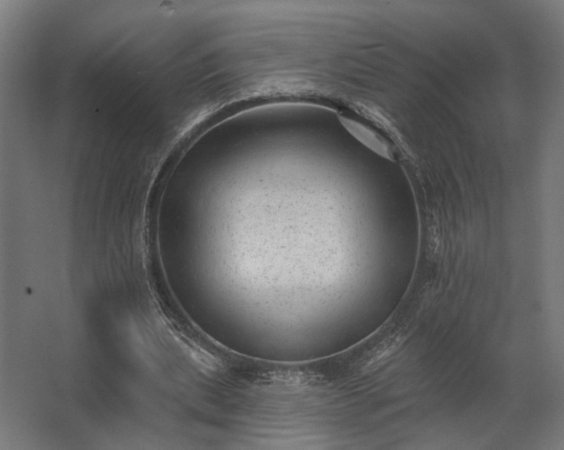 X0000062790439200512290227