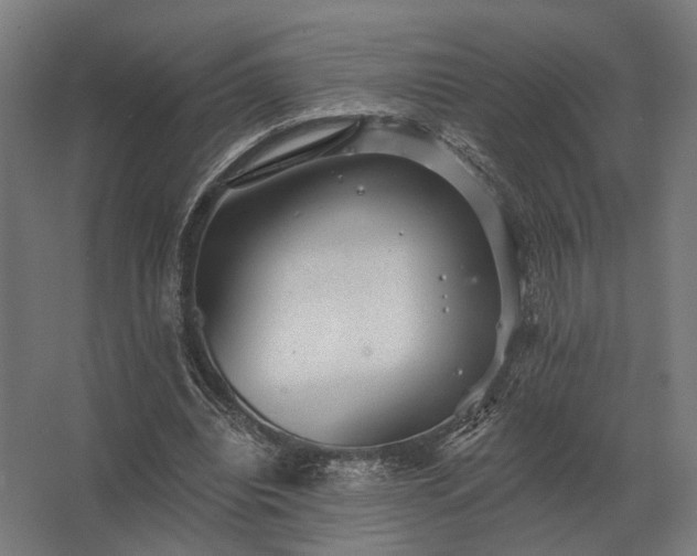 X0000062790440200512290227