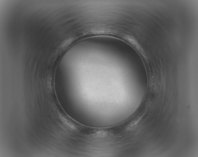 X0000062790441200512290227