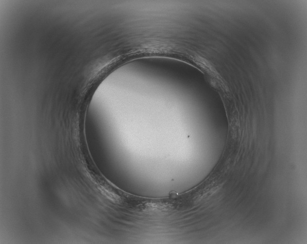 X0000062790442200512290227