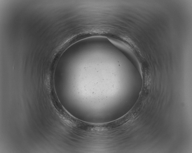 X0000062790444200512290227