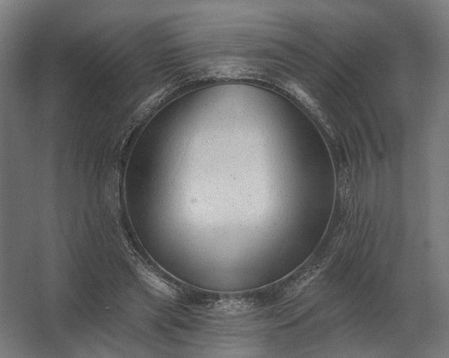 X0000062790445200512290227