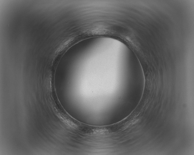 X0000062790446200512290227