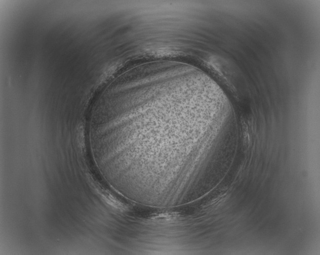 X0000062790447200512290227