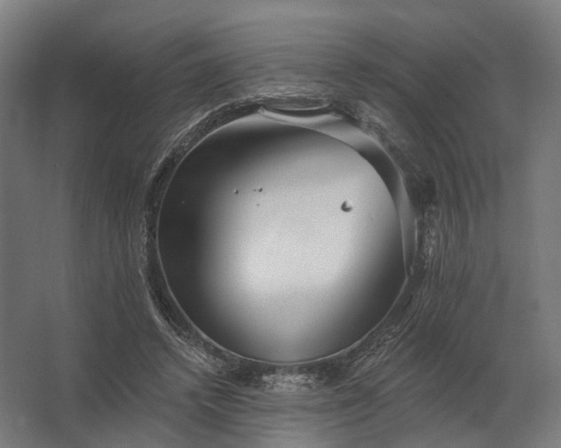 X0000062790448200512290227