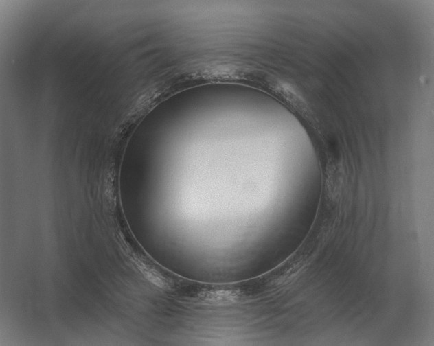 X0000062790449200512290227