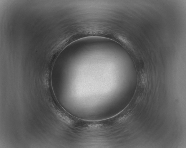 X0000062790450200512290227