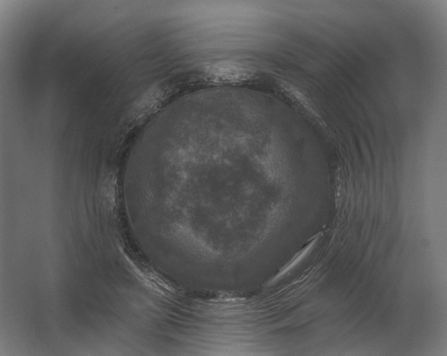 X0000062790451200512290227