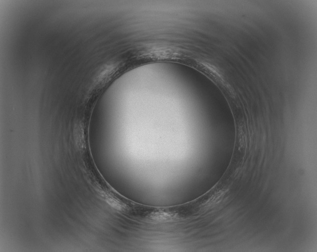 X0000062790453200512290227