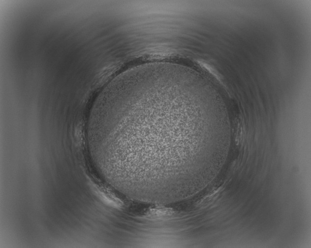 X0000062790455200512290227