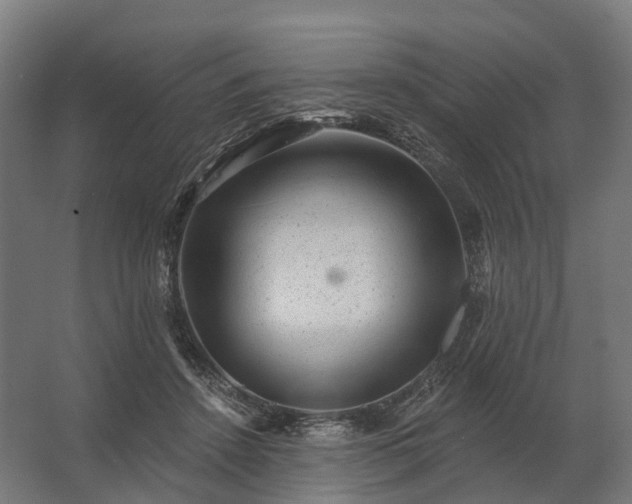 X0000062790456200512290227