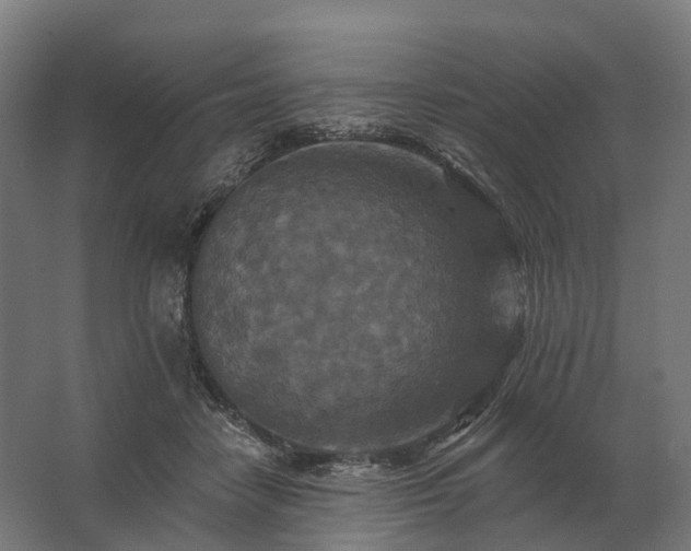 X0000062790458200512290227