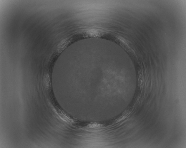 X0000062790459200512290227