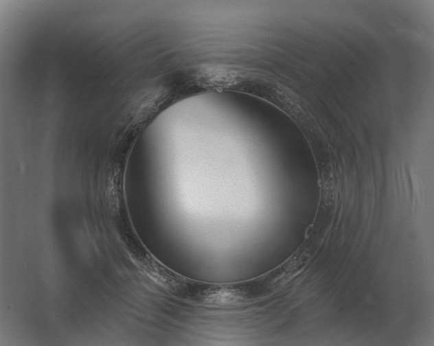 X0000062790460200512290227