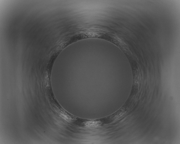 X0000062790465200512290227