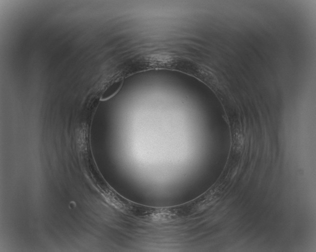 X0000062790468200512290227