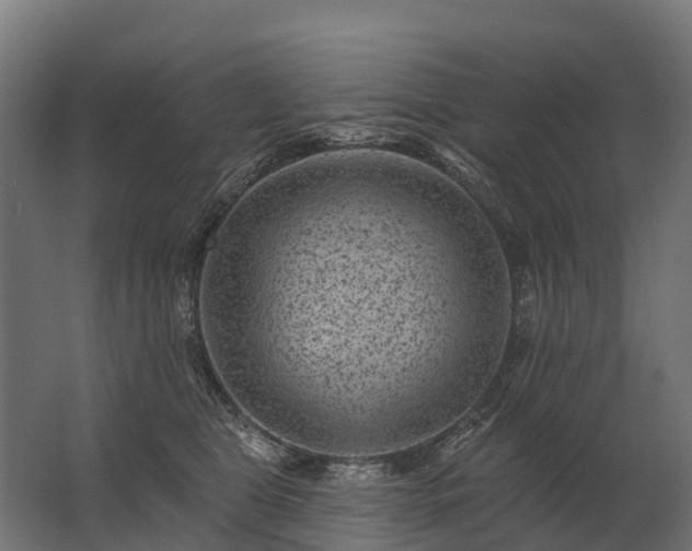 X0000062790469200512290227