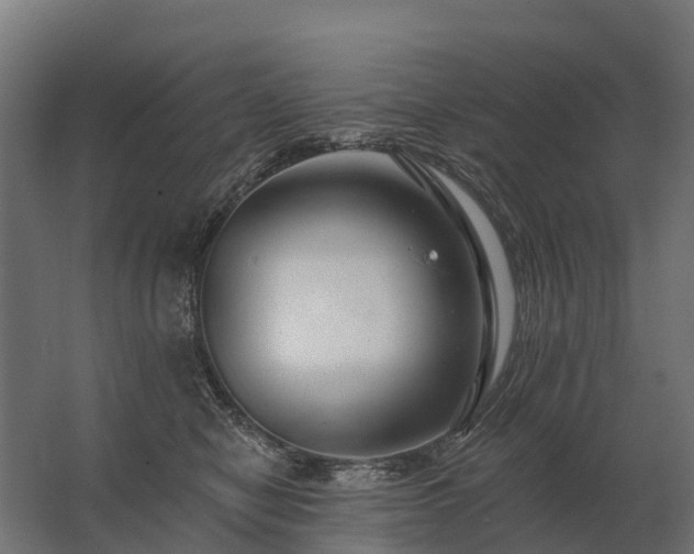 X0000062790470200512290227