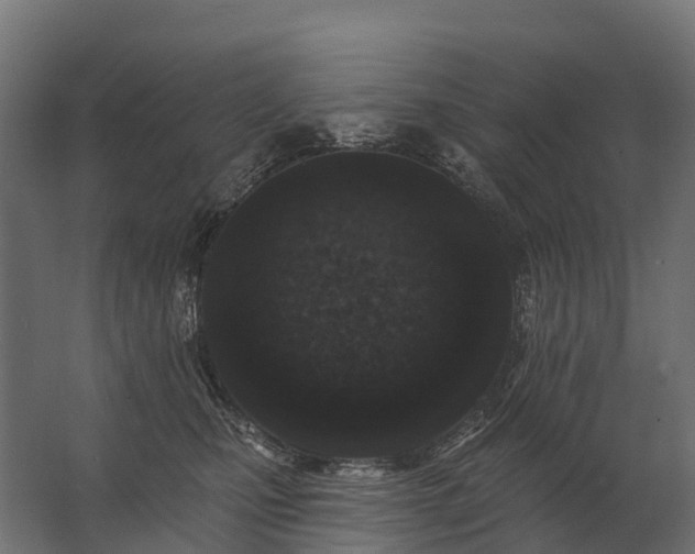 X0000062790471200512290227