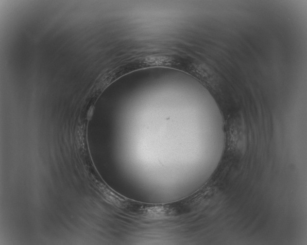 X0000062790473200512290227