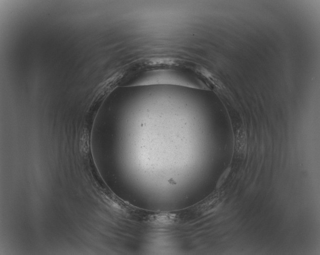 X0000062790474200512290227