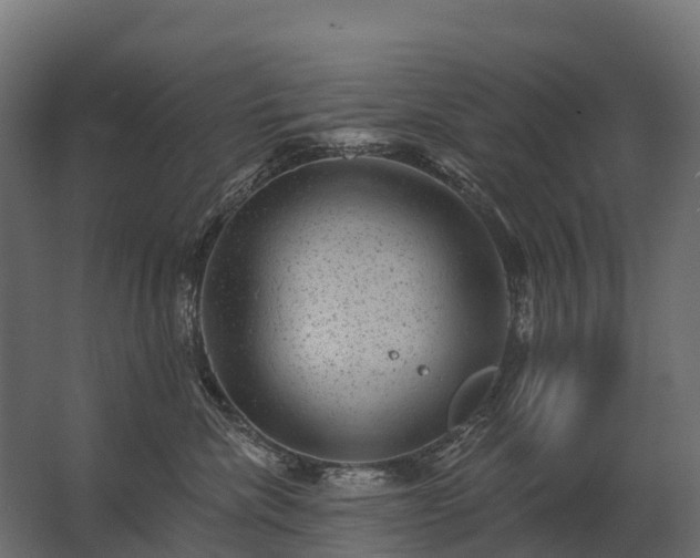 X0000062790476200512290227