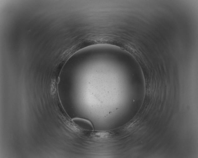 X0000062790478200512290227