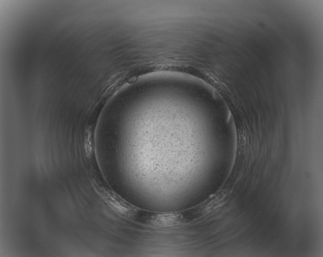 X0000062790479200512290227