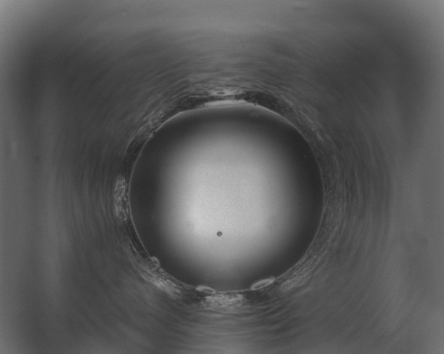 X0000062790480200512290227