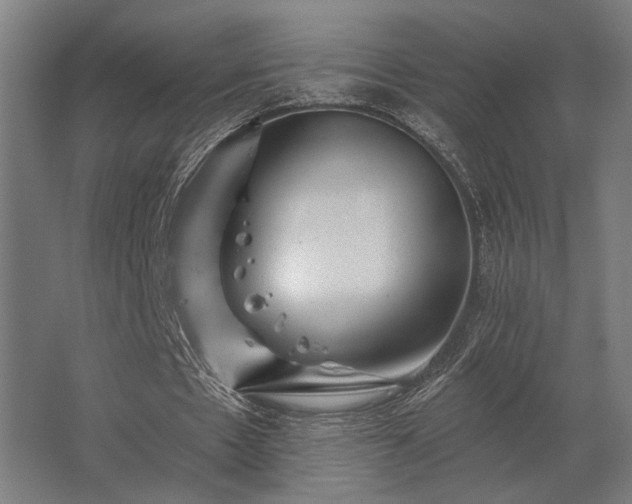 X0000062790481200512290226