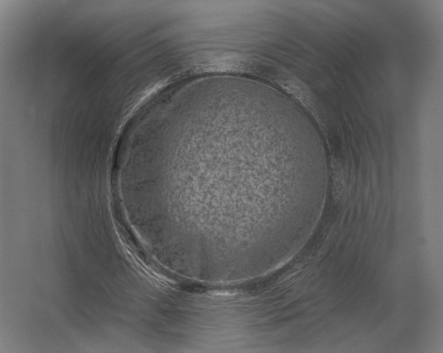 X0000062790482200512290226