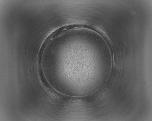 X0000062790483200512290226