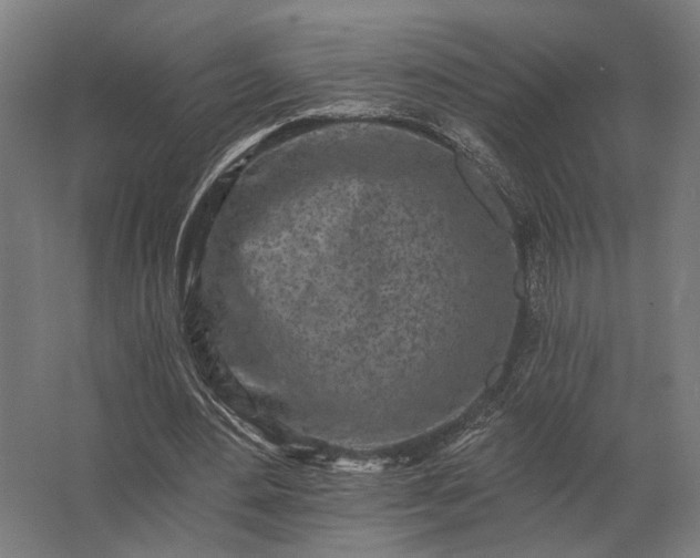 X0000062790484200512290226