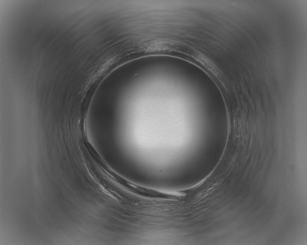 X0000062790485200512290226