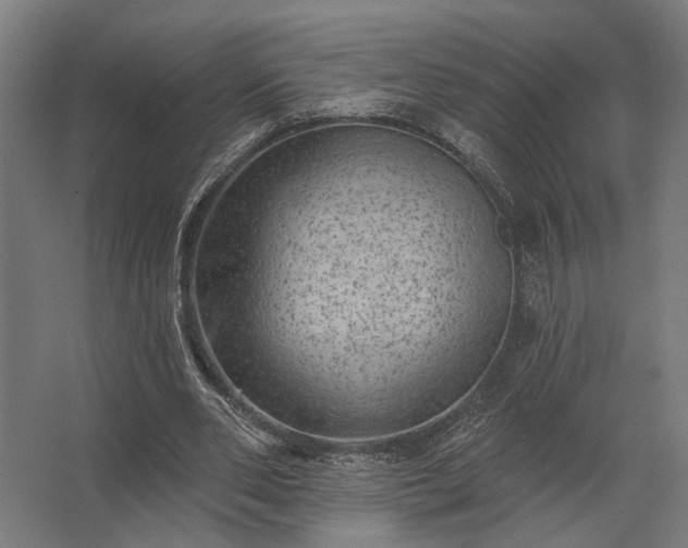 X0000062790486200512290226