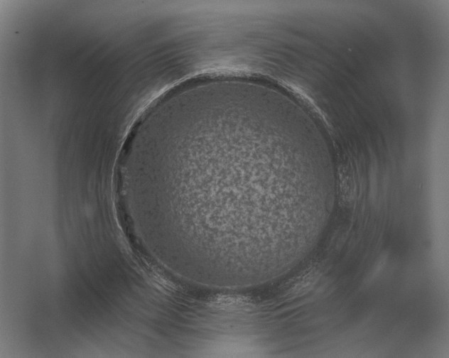 X0000062790487200512290226