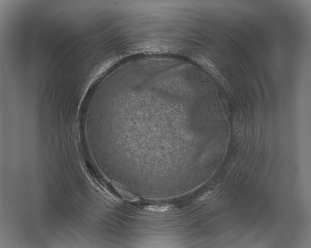 X0000062790488200512290226