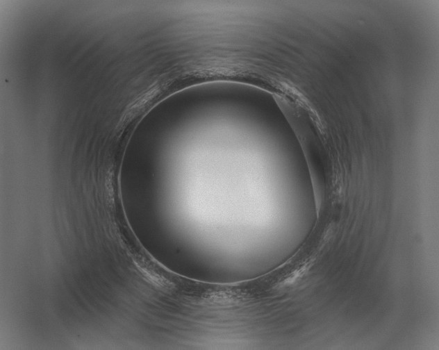 X0000062790489200512290226