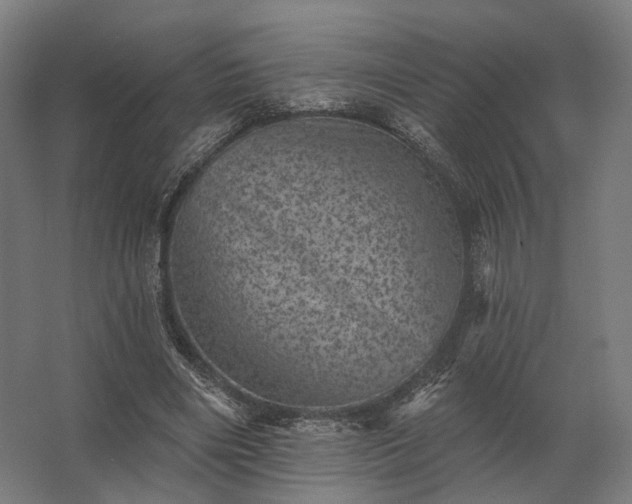 X0000062790490200512290226