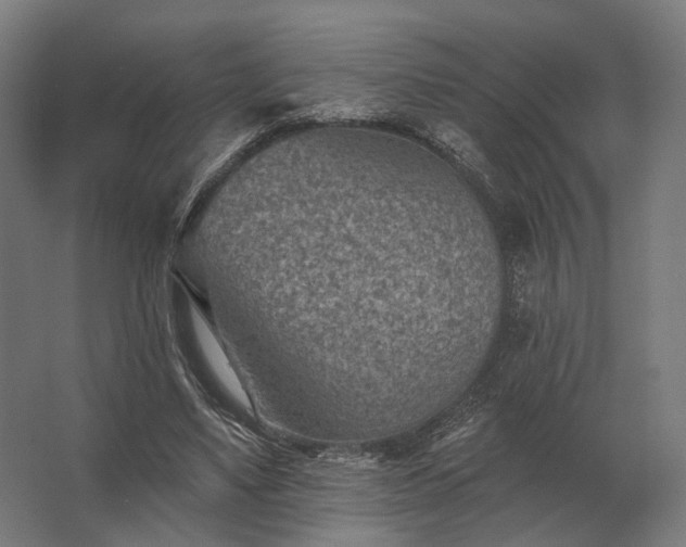 X0000062790491200512290226