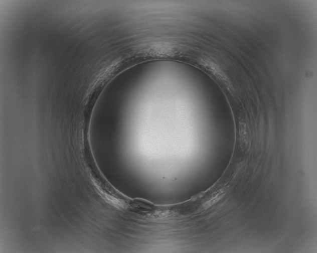 X0000062790493200512290226