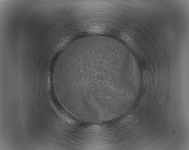 X0000062790494200512290226