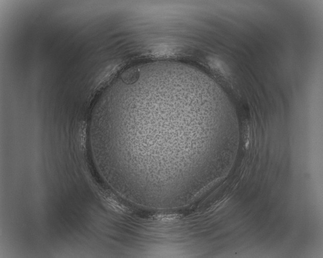 X0000062790495200512290226